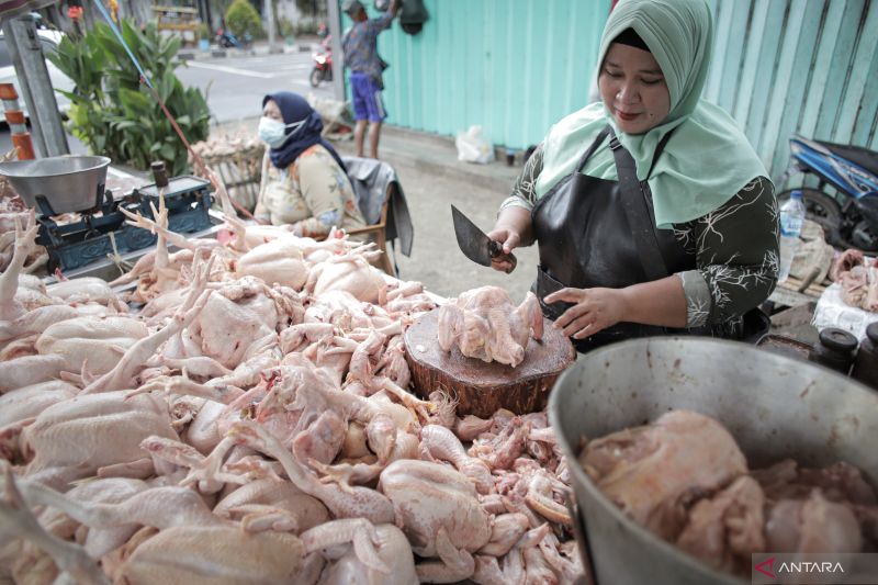 Mendag Pastikan Pasok Ayam dan Telor Cukup, Bahkan Surplus Hadapi Ramadan