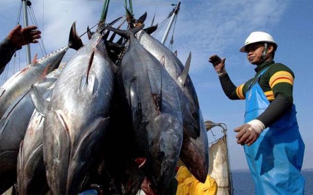 Ekspor Perikanan Indonesia Januari-Mei 2022 Capai USD2,26 miliar, Naik 15,04 Persen