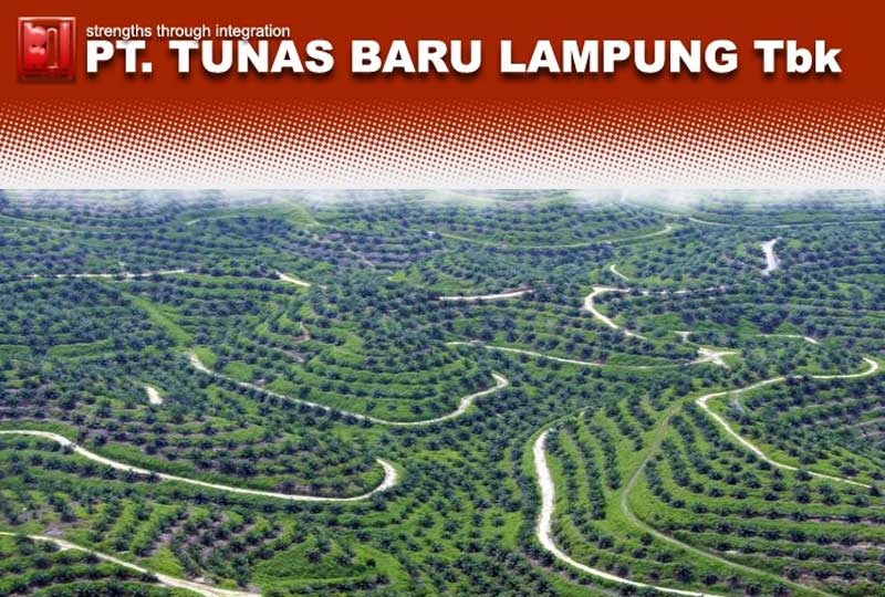 Tunas Baru Lampung (TBLA) Kuras Rp921,53 Miliar Kas Untuk Operasional Semester I