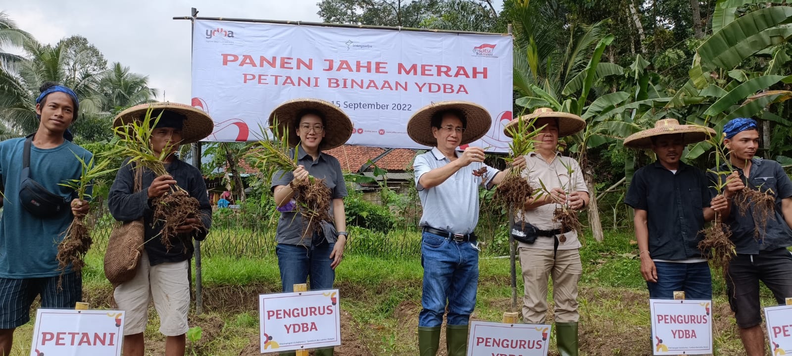 Petani Jahe Merah Lebak Banten Binaan YDBA Hasilkan Panen 32,5 Ton