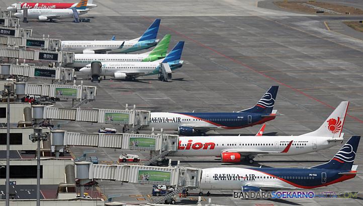 Upaya Pemulihan Industri Penerbangan Nasional, Menko Luhut Sodorkan Empat Prioritas Utama