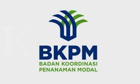 Tumbuh 42 Persen, BKPM Catat Realisasi Investasi Rp307,8 Triliun Per September 2022
