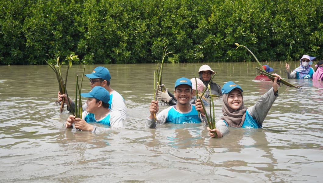 Lawan Abrasi, Bekasi Fajar Industrial Estate Tanam 20.500 Pohon Mangrove