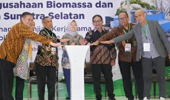Bukit Asam (PTBA) Dukung Pengembangan Biomassa untuk Cofiring PLTU di Sumsel