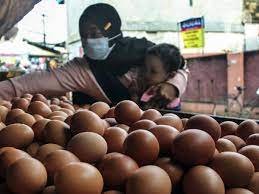 Harga Telur Ayam Terus Merangkak Naik, IKAPPI Nilai Pemerintah Belum Bertindak 