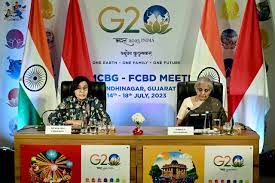 Bentuk EFD di Gujarat, Menkeu Indonesia dan India Perkuat Kerja Sama Bilateral