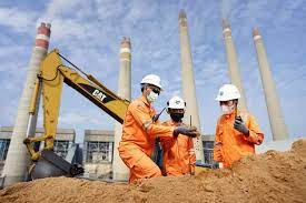 PLN Kembangkan Biomassa, Bahan Baku Alternatif Energi Bersih