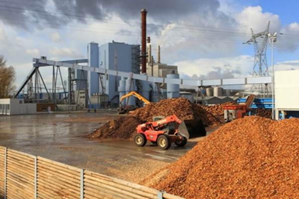 Indonesia Berpotensi Hasilkan Listrik Setara 56,97 GW dari Biomassa