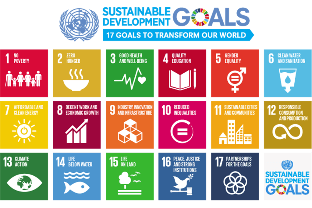 PBB: Capaian SDGs Indonesia Paling Progresif di Antara Negara Berpenghasilan Menengah