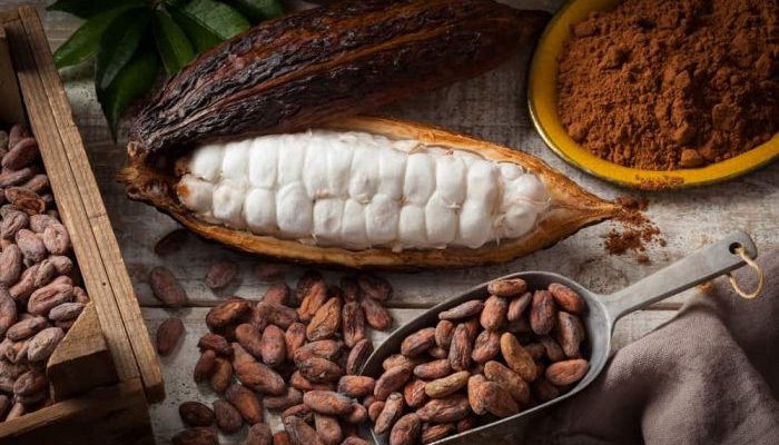Harga Patokan Ekspor Biji Kakao Januari 2024 Naik 7,53 Persen Jadi USD3.900/MT