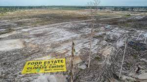 Jika Menang Pilpres 2024 Cawapres Muhaimin Pastikan Hentikan Food Estate, Ini Kata Prabowo