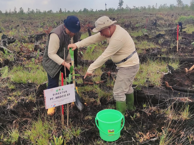Lestarikan Lingkungan Hidup, Medco (MEDC) Hijaukan Sumsel dengan 1,39 Juta Pohon