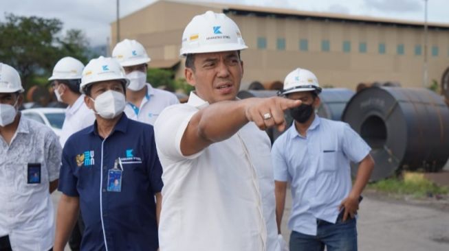 DPR Investigasi Proyek Mangkrak Krakatau Steel (KRAS), Ini Cerita Silmy Karim