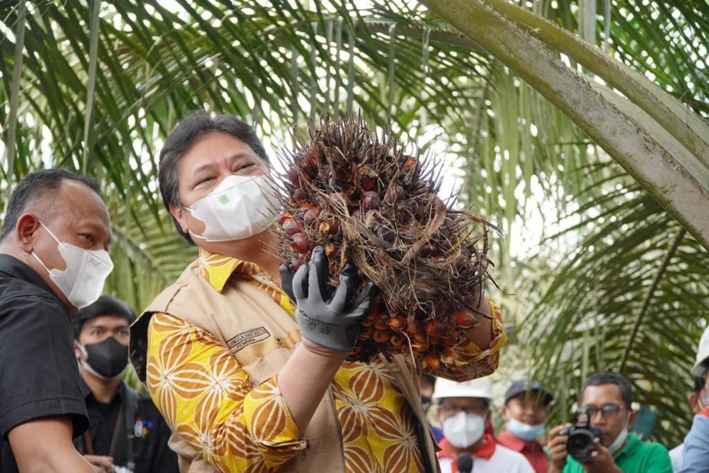 Usung Lima Tuntutan, Esok Para Petani Sawit Demo di Depan Kantor Airlangga Hartarto