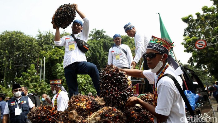 Petani Sawit Demo Protes Larangan Ekspor CPO, Ini Jawaban Kemendag