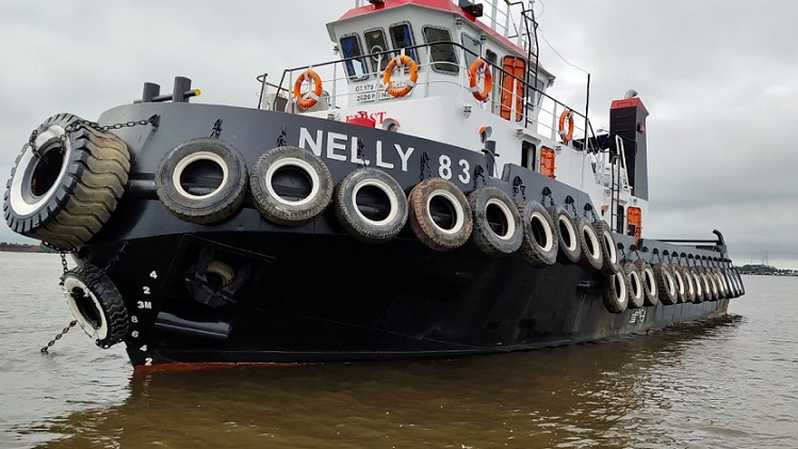 Pelayaran Nelly (NELY) Salurkan Sisa Dividen Rp10 per Lembar, Telisik Tanggal Cairnya