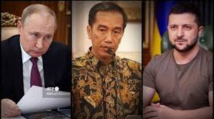 Kunjungi Rusia dan Ukraina Pekan Depan, Presiden Jokowi Temui Putin dan Zelensky