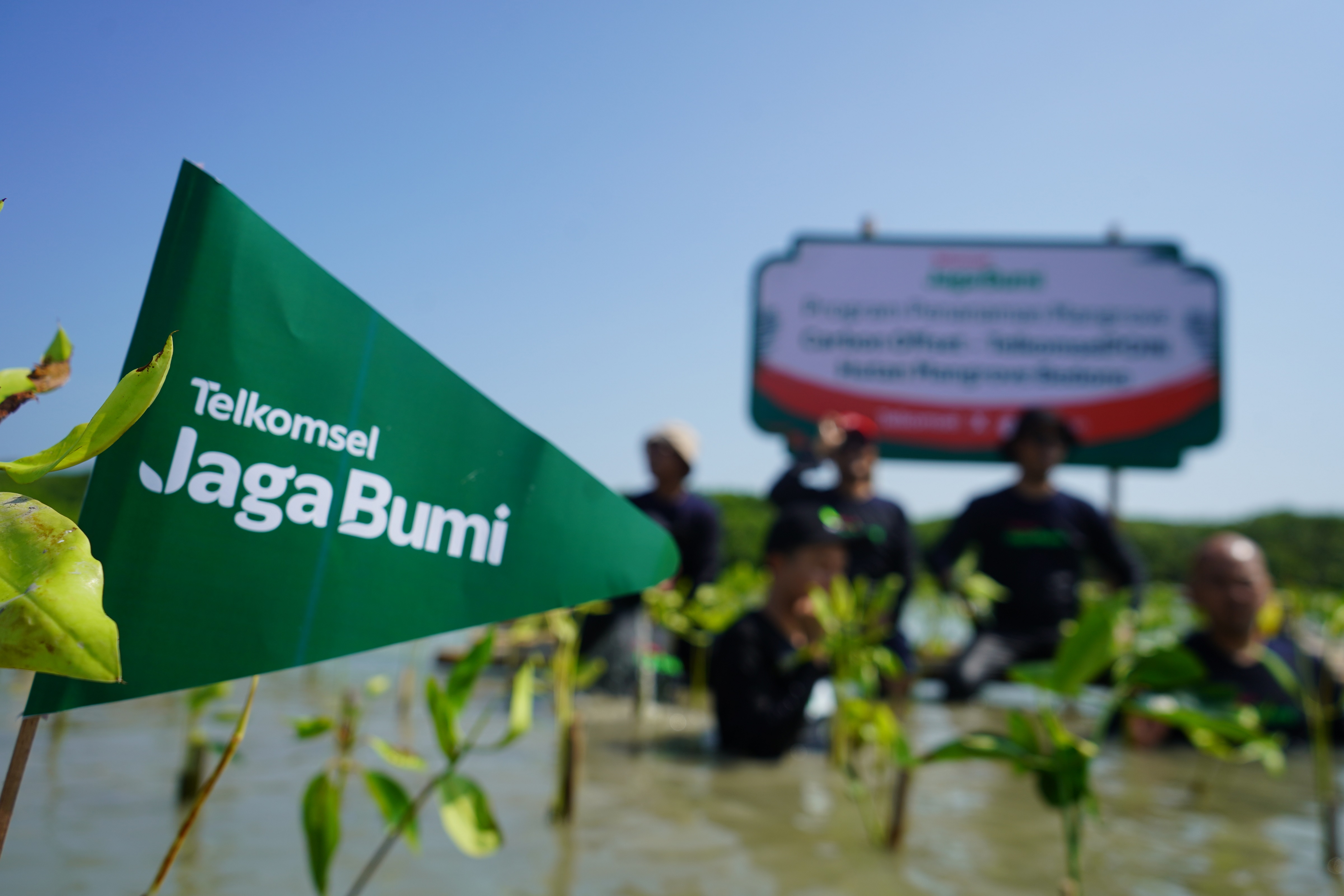 Kolaborasi Telkomsel-Jejak.in, Reboisasi Kawasan Konservasi Hutan Mangrove di Indonesia