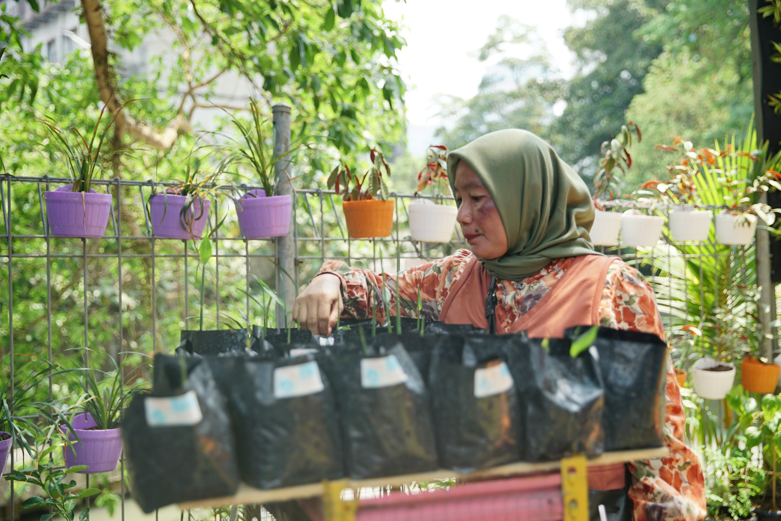 Susuri Kampung Palm Eco Green Village Malang, Makin Asri Berkat Program BRInita